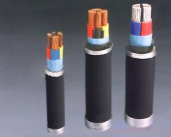 遵义额定电压0.6 1kV聚氯乙烯绝缘聚氯乙烯护套电力电缆